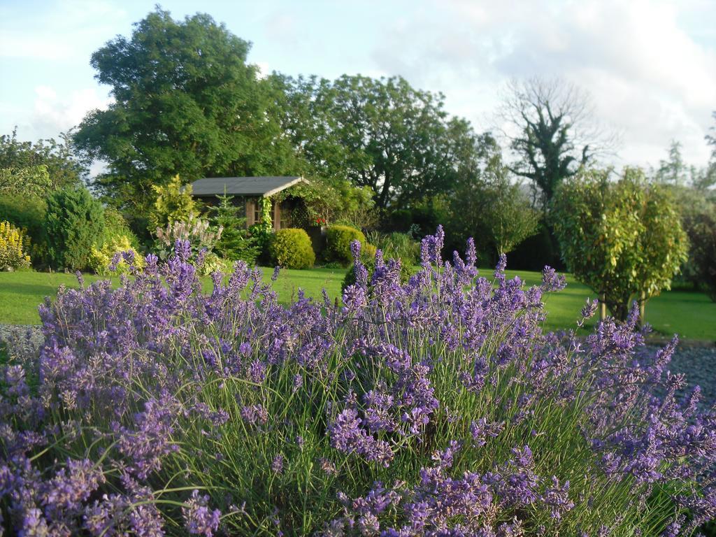 Moor View Bed & Breakfast Ingleton  Rom bilde